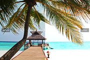 Fiji Ocean Pro Lightroom Presets, an Action Add-On by Creativetacos (Thumbnail 6 of 6)