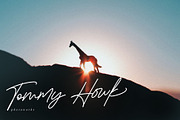 Emillont, a Script Font by ngene (Thumbnail 10 of 11)