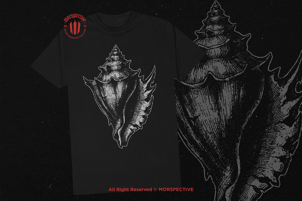 10 Bundle Dark Art Sea Shell Ocean, an Illustration by Morspective (Photo 2 of 7)