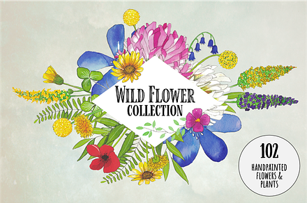 Watercolor Wildflower Collection