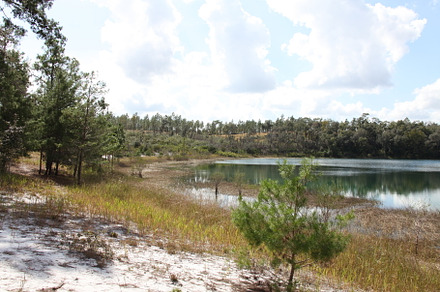 Lake in Gold Head Branch State Park