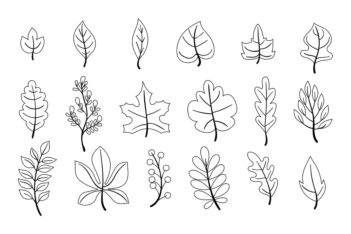 leaves collection outline icons, an Object Illustration by nicollr's store (Photo 2 of 2)