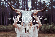 Sans Serif Font - Cactuso, a Serif Font by Collapse Std. (Thumbnail 6 of 7)