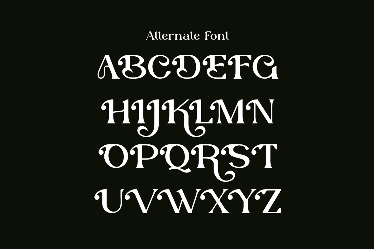Clotfer - Modern Aesthetic Font, a Serif Font by Iqsiart Studio (Photo 10 of 14)