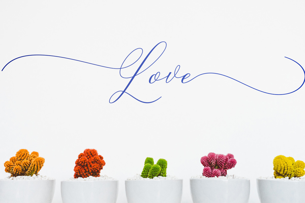 Camelia Calligraphy Modern, a Script Font by Teweka (Photo 9 of 11)