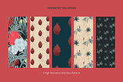 Desert Bloom-Set, a Decorative Illustration by StudioLapis (Thumbnail 5 of 8)