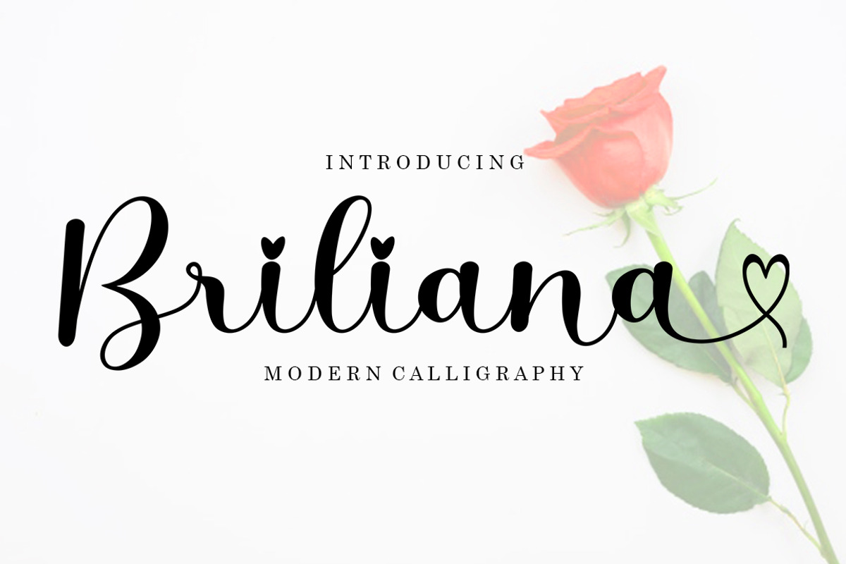 Briliana Script, a Script Font by Bosstype Studio (Photo 1 of 10)