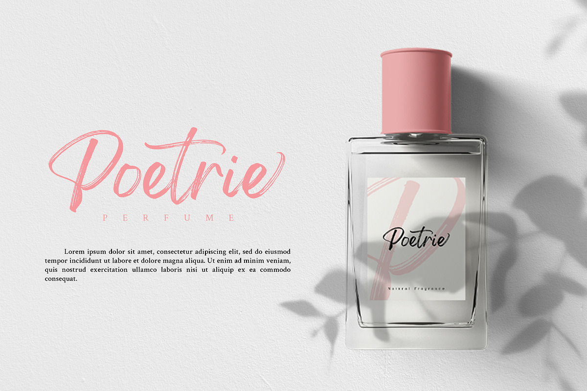 Gellatio - Chic Brush Font, a Script Font by din-studio.com (Photo 12 of 16)