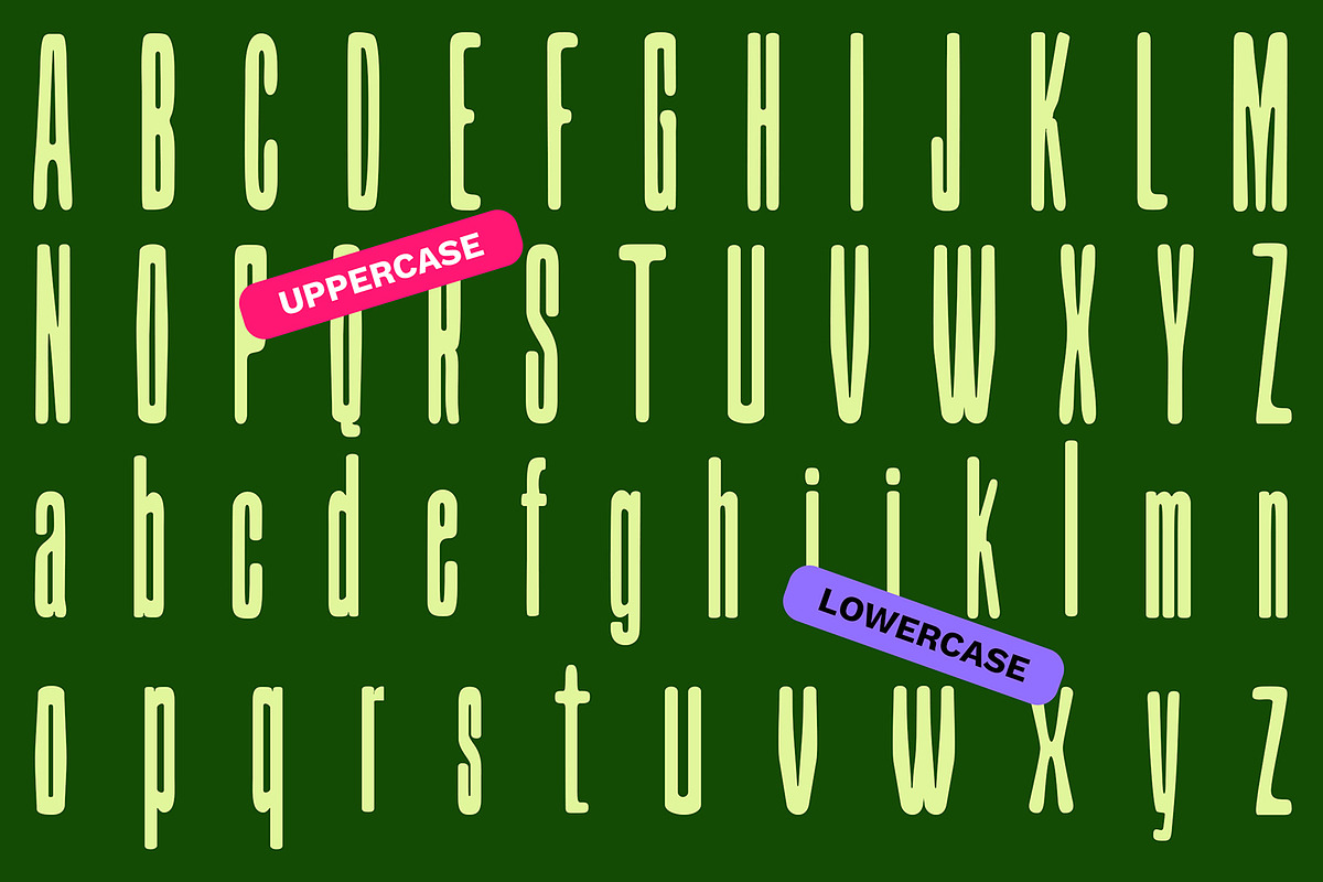 Monarchy Bold Condensed Display, a Sans Serif Font by Haps Space (Photo 3 of 10)