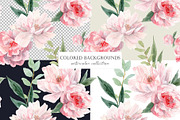 Watercolor Peony. Pink peonies., a Decorative Illustration by Slastick (Thumbnail 6 of 11)