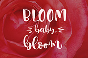 Queen Star, a Script Font by JROH Creative (Thumbnail 8 of 11)