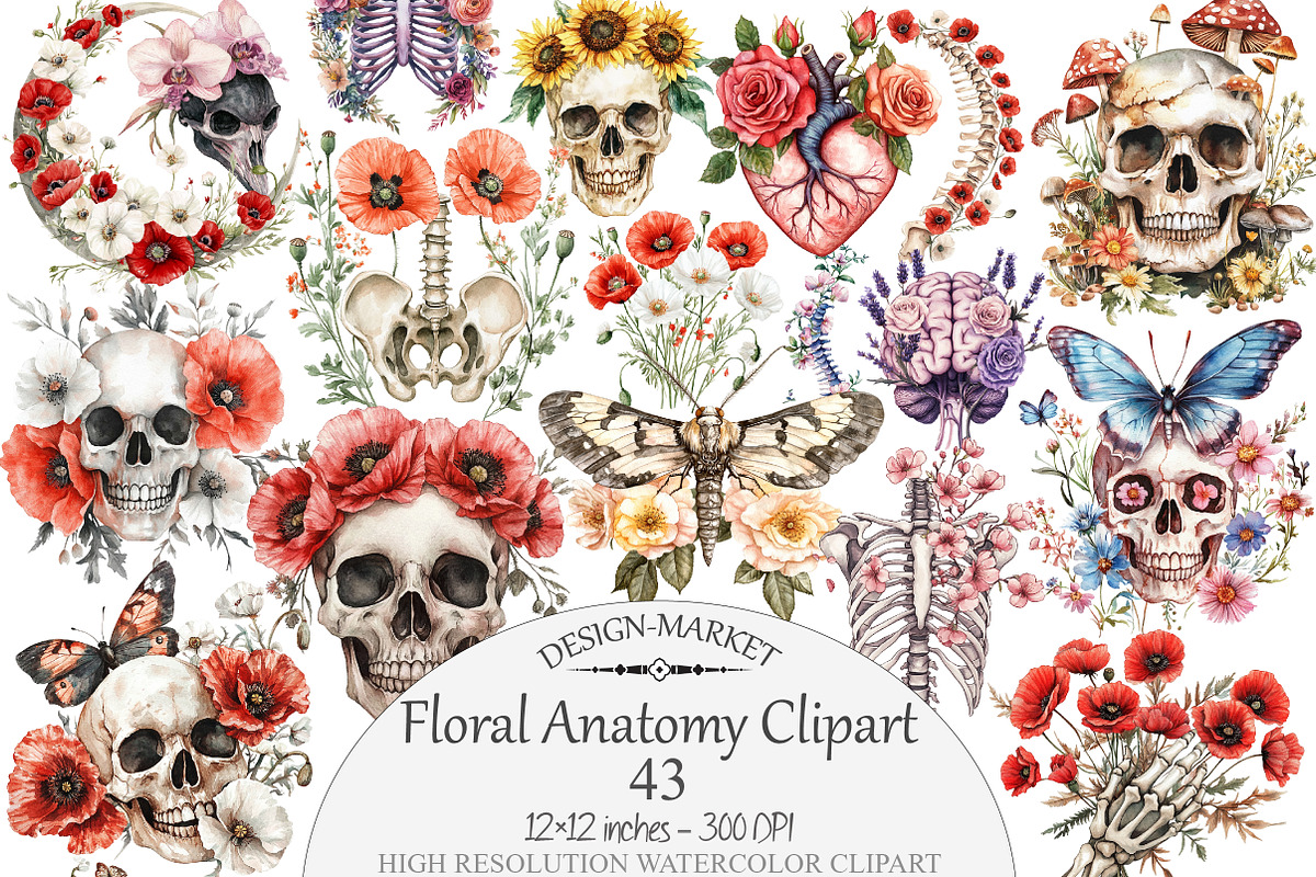Watercolor Floral Anatomy Clipart, a Seasonal Illustration by Design Market (Photo 1 of 5)