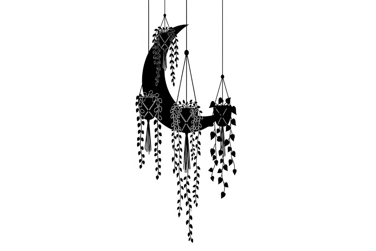 Hanging Moon with Plants Bundle, an Illustration by Designs_River (Photo 16 of 31)