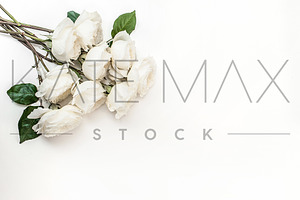 KATEMAXSTOCK Styled Stock Photo #924, a Nature Photo by Styled Stock House