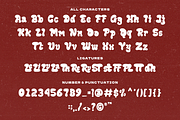 Rebels Suns Display Retro, a Sans Serif Font by Haps Space (Thumbnail 9 of 10)
