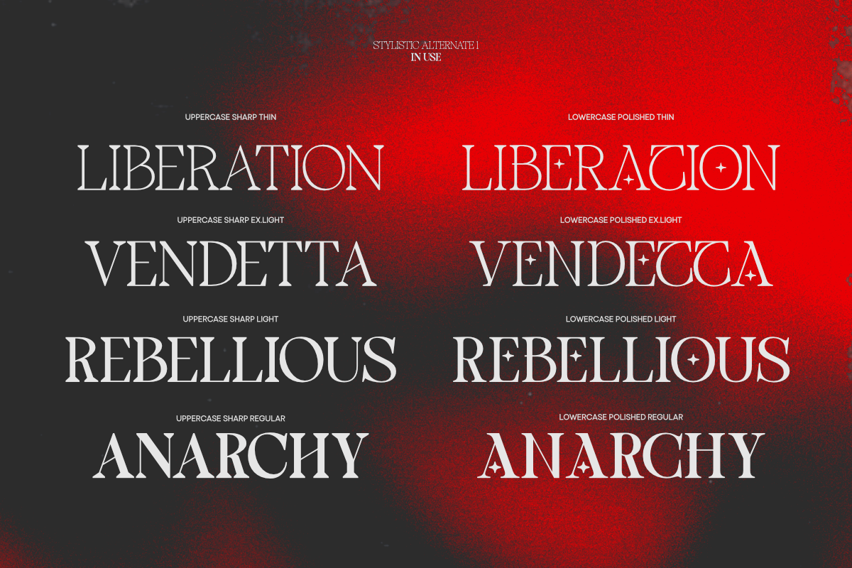 TBJ One Of A Kind Serif Font Family, a Serif Font by Taboja Studio (Photo 5 of 21)