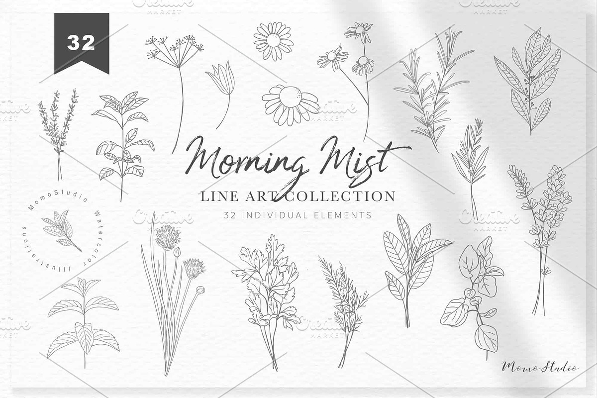 Morning Mist - Herb Collection, a Decorative Illustration by Momo Studio (Photo 8 of 18)