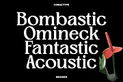 Meginer Nineties - Modern Serif, a Serif Font by Comactype Foundry (Thumbnail 10 of 22)