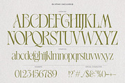 Avenue Amore - Elegant Wedding Font, a Serif Font by AndrewPixelType (Thumbnail 7 of 7)