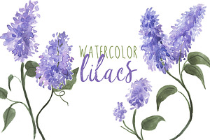 Watercolor Lilacs