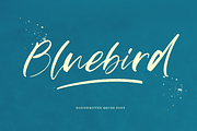 Bluebird, a Script Font by Larin Type Co. (Thumbnail 1 of 10)