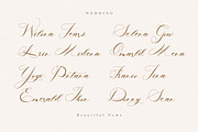 Lucylove - Modern Calligraphy, a Script Font by delipensil (Thumbnail 6 of 11)