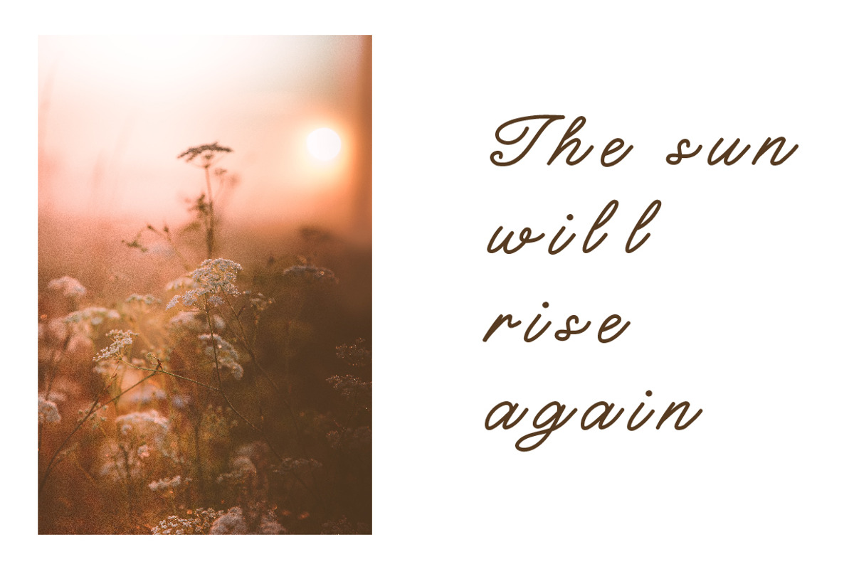 Charlotte Script Typeface preview 2
