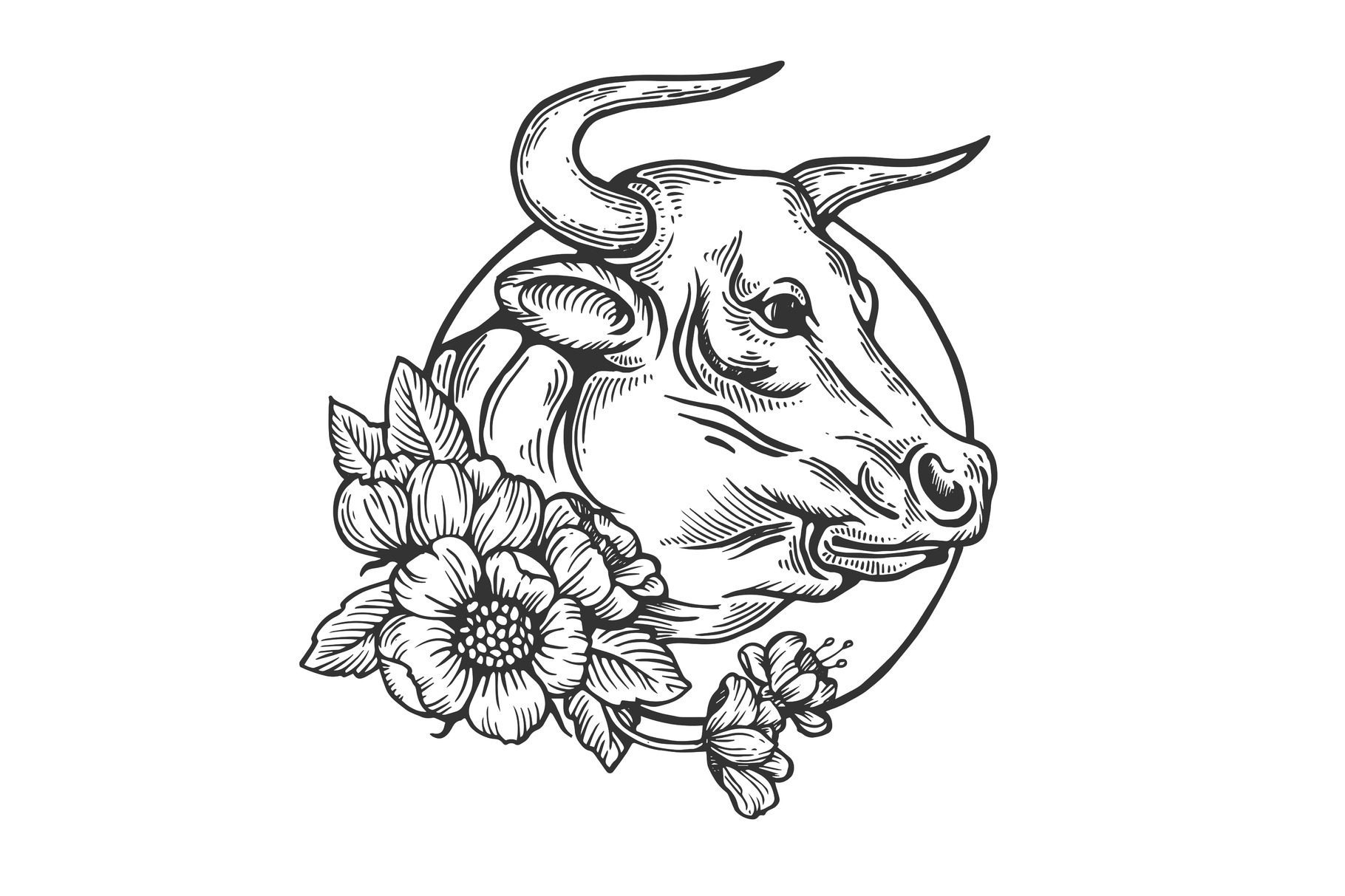 Bull animal engraving vector, an Animal Illustration by AlexArt