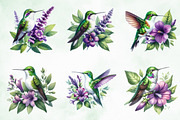 Beautiful Hummingbird Watercolor Png, an Illustration by Creative Art (Thumbnail 5 of 6)