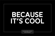 Alesand (7 Fonts), a Sans Serif Font by Solidtype (Thumbnail 2 of 8)