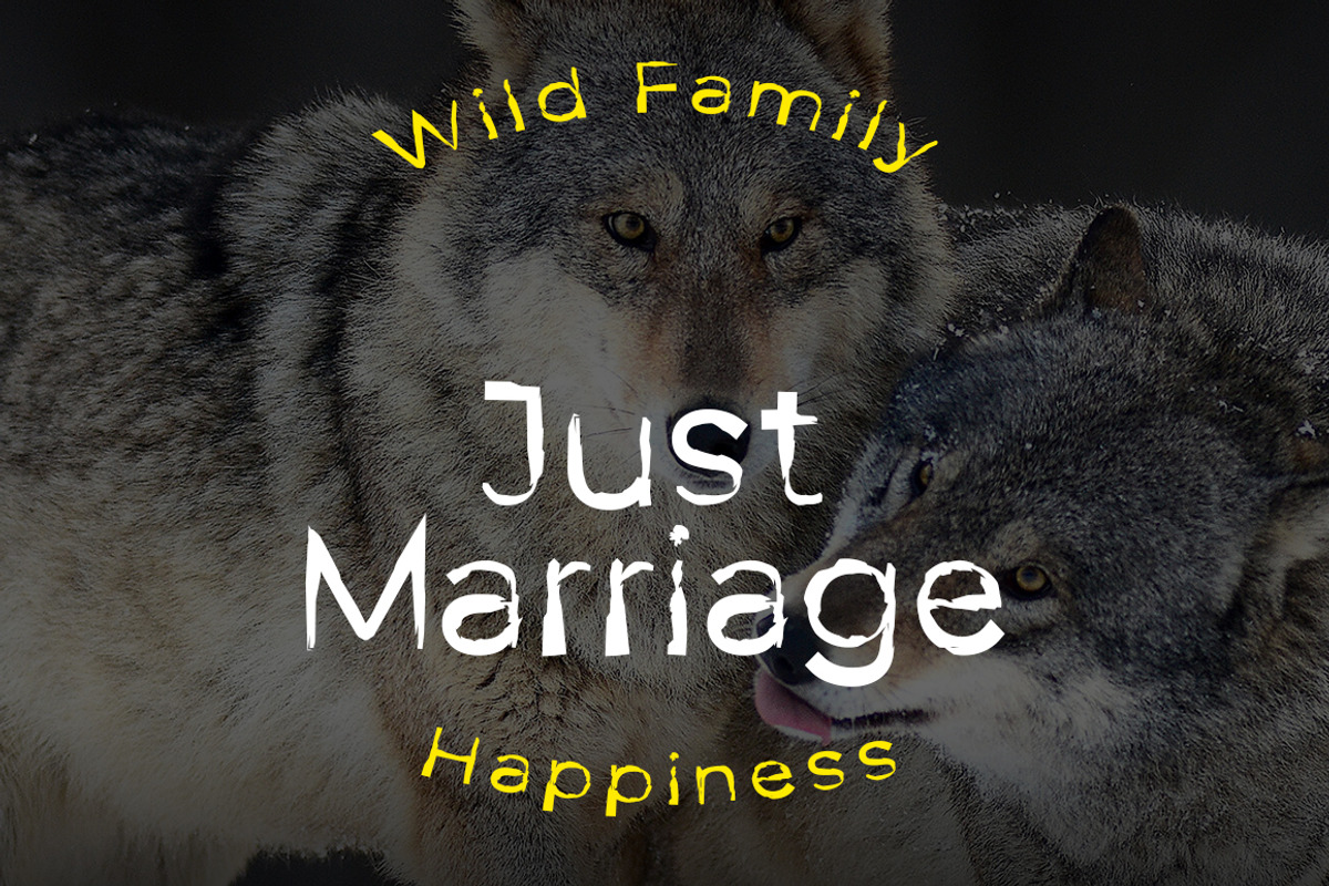 Wolf Claws Font, a Sans Serif Font by yantodesign (Photo 8 of 10)