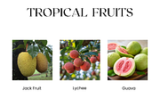 Tropical Fruits Stock Images, Mango, a Food & Drink Photo by BrushstrokeArtGB (Thumbnail 3 of 5)