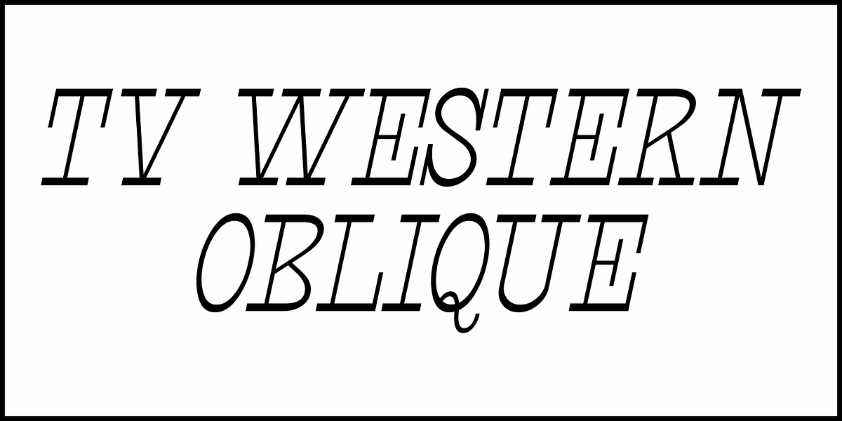 TV Western JNL, a Slab Serif Font by Jeff Levine Fonts (Photo 4 of 5)