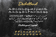 Dribelland - a handwritten font, a Script Font by Beautypes (Thumbnail 5 of 7)