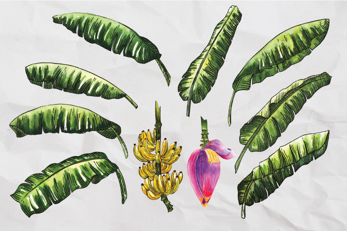 Banana Leaves Watercolor, a Pattern Graphic by Planolla (Photo 6 of 6)