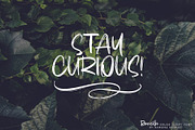 Bouncilla | Happy Brush Script Font, a Script Font by Ramona Schratt (Thumbnail 11 of 20)
