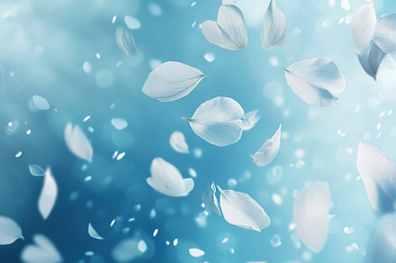 Beautiful white spring flower petals in air, a Background Photo by AlyaAnd