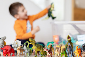 Child playing with dinosaur toys, selective focus on toys, a Person Photo by Antonio Gravante Market