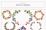 Fruits & Berries Botanical, a Food Illustration by LiChu Art (Thumbnail 13 of 14)