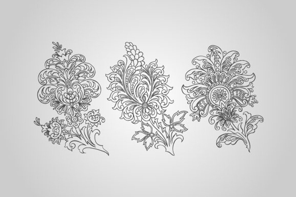 12 Paisley Floral Designs (Vector) preview 5