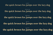 JT Douro Sans, a Sans Serif Font by JAM Type (Thumbnail 9 of 11)