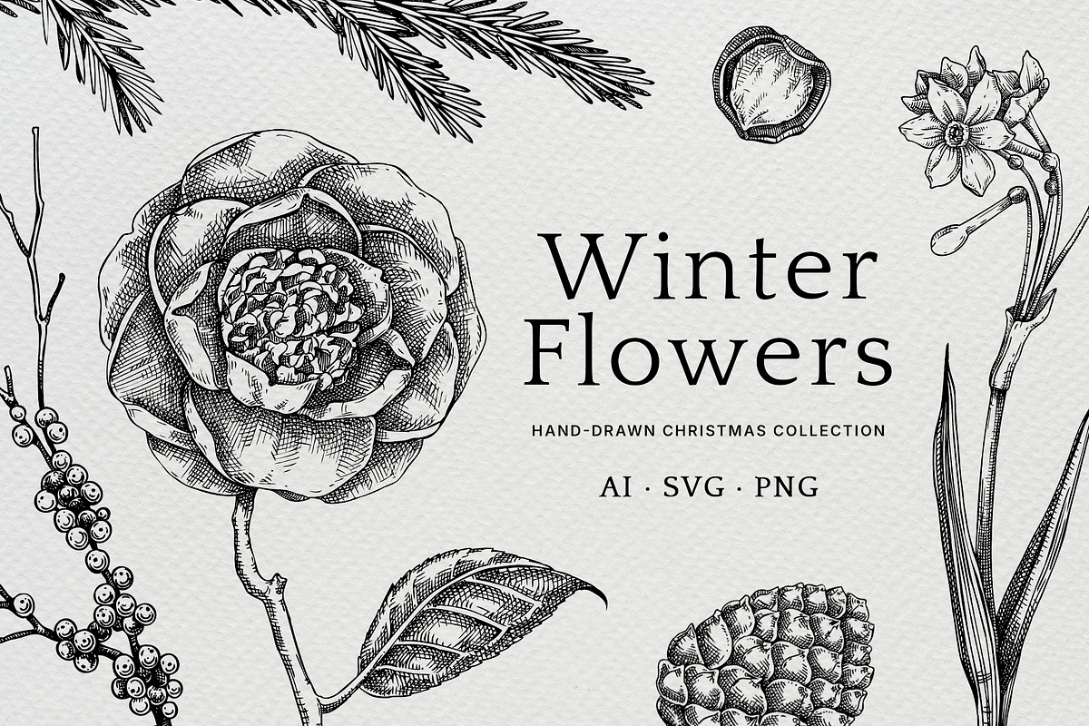 Winter Flowers Christmas Collection, a Seasonal Illustration by Yevheniia (Photo 1 of 12)