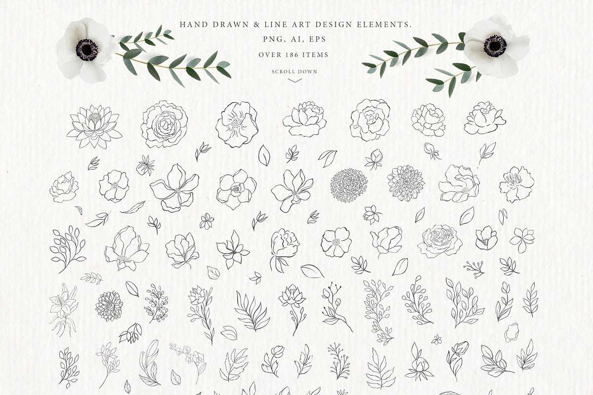 UPDATE! Mystical Moon Trendy Designs, a Decorative Illustration by Designwork (Photo 21 of 23)