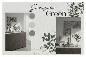 Sage Green. Watercolor Graphic