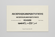 Nanu | Elegant Modern Serif Typeface, a Font by Astuti Studio (Thumbnail 2 of 16)