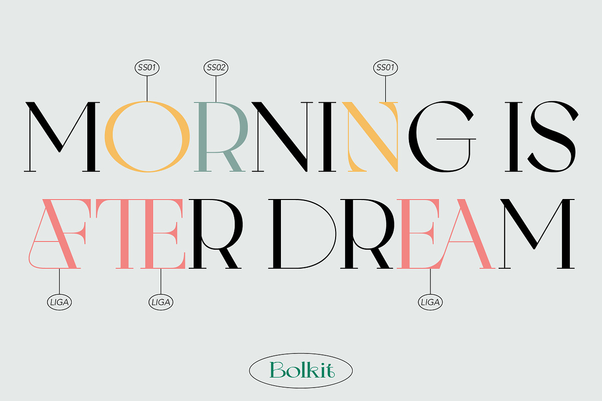 ZT Bolkit - Display Serif, a Serif Font by zelow type (Photo 8 of 15)