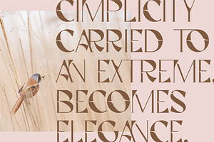 Wanderlust Serif Font