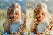 30 Harvest Lightroom Collection, a Preset Add-On by 3Motional (Thumbnail 3 of 11)