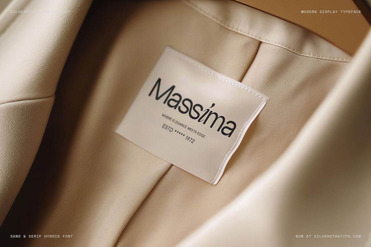 Dessign Maison - Hybrid Display Font, a Serif Font by SilverStag Type Foundry (Photo 15 of 18)