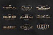 1500 Logos Bundle Collection, a Branding & Logo Template by Graphicdome (Thumbnail 55 of 185)